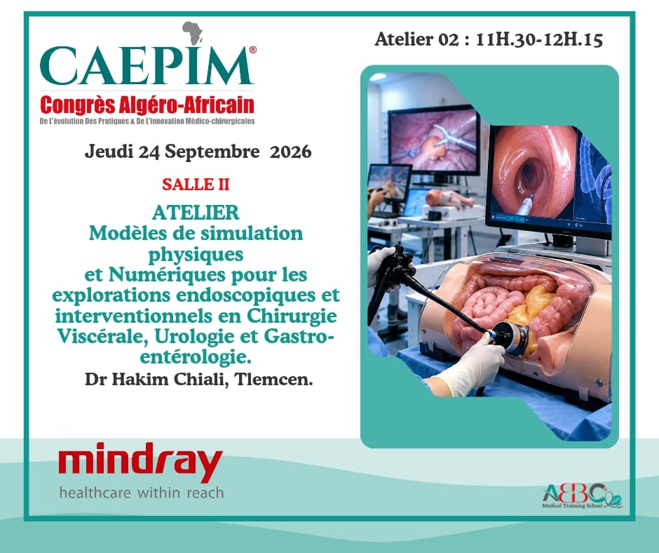 Atelier Modèles de simulation physiques et numériques — CAEPIM 2026